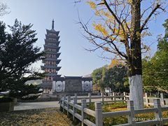 -上海方塔园