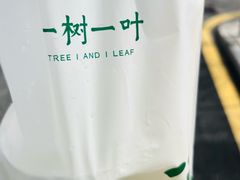 -一树一叶·福建茶档(石鼓路店)