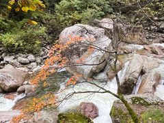 -青峰峡国家森林公园