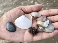-南澳海滩