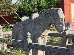 -洛阳白马寺