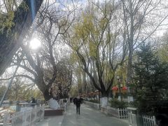 -宗角禄康公园