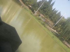 -温江公园