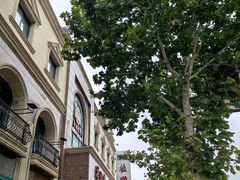 -芦庄子桂顺斋(和平路总店)