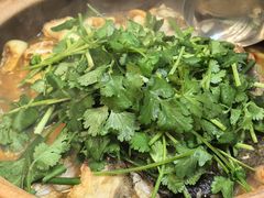 秘制水库鱼头-九道菜有鸡鱼头(石鼓路店)