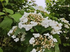 -雁滩公园