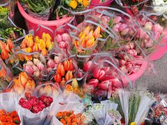 -循礼门鲜花花市(武汉循礼门店)