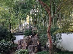 -秋霞圃