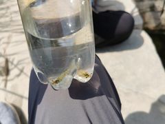 -绿堤公园