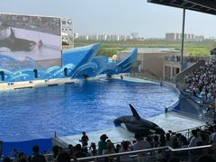 -上海海昌海洋公园