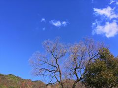 -塔川景区