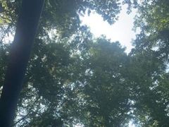 -渡海小渔村.老辈日照菜