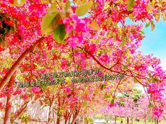 陶然亭公园西门-陶然亭公园