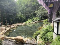 -融汇温泉