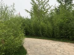 -北京园博大酒店