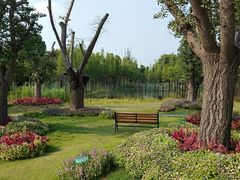 -南京银杏湖乐园