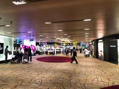 -樟宜机场免税店