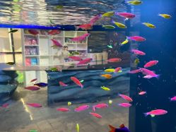 -酷嗒动物文化乐园(cutezoo西溪乐天城店)