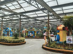 -南宫五洲植物乐园