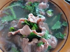 -小杨翘脚牛肉