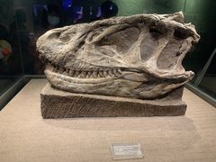 -自贡恐龙博物馆