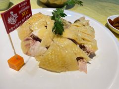 -新高记·粤菜·湛江鸡(南头古城店)