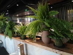 -海航大厦万豪酒店彩海轩中餐厅(霄云路店)