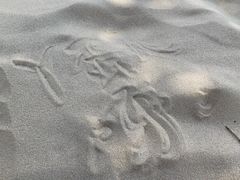 -库伦旗银沙湾旅游景区