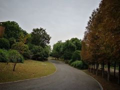 -梁鸿国家湿地公园