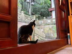 -韬光茶庵