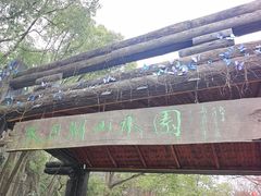 -天目湖山水园