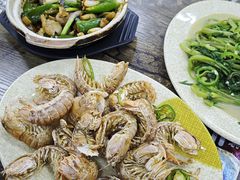 -贞姨美食·老字号海鲜大排档