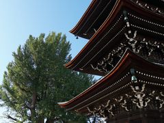 -医王山·飞騨国分寺