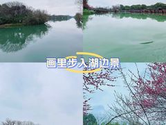 -西溪国家湿地公园