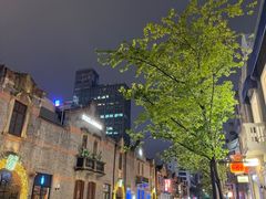 -丰盛里