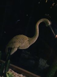 -木北造型