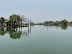 -贡湖湾湿地公园