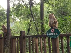-黔灵山公园-南门售票处