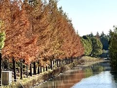 -柳鹭田园区