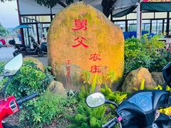 -肥舅父農莊