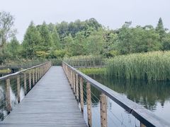 -昆山城市生态森林公园