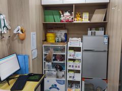 -恒幸动物医院·急重症转诊中心·神经内外科·CT核磁