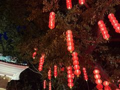 -荔湾湖公园