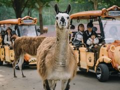 -廊坊固安福朋喜来登酒店