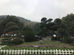 -峙山公园