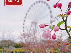 -顾村公园3号门停车场