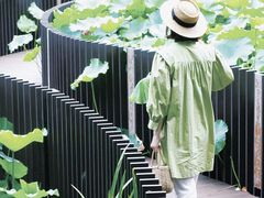 -陈家山荷花公园