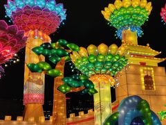 -欢乐海岸椰林沙滩-2025湾区超级灯会