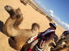 -银肯塔拉沙漠生态旅游景区