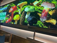 -阿婆情腊排骨火锅·野生菌季(古城旗舰店)